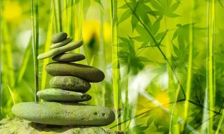 Capacidades diferentes, posibilidades infinitas