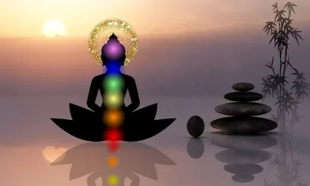 Convivencia ciudadana: derechos que no puedes olvidar